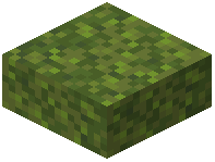 Moss Block Slab