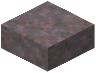Mycelium Slab