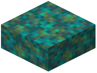 Warped Nylium Slab