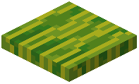 Melon Trapdoor