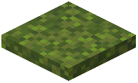 Moss Block Trapdoor
