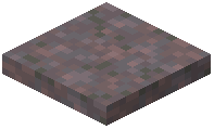 Mycelium Trapdoor