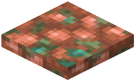 Raw Copper Block Trapdoor