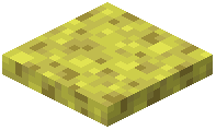Sponge Trapdoor