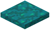 Warped Wart Trapdoor