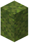 Moss Block Wall