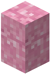Pink Concrete Powder Wall