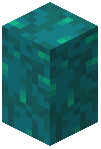 Warped Wart Wall