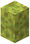 Wet Sponge Wall