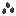 spider_seeds