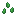 turtle_seeds
