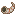 Nautilus Horn