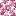 Pink Cherry Blossoms