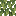 Sea Shrub Leaves
