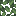 Tropical Leaves