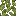 Vanilla Leaves