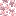 White Cherry Blossoms