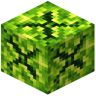 Budding Peridot Crystal