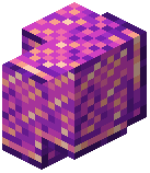 Polished Ametrine Crystal Block Wall