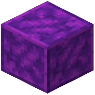 Polished Ametrine Schist