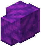 Polished Ametrine Schist Wall