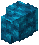 Polished Aquamarine Schist Wall