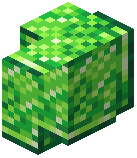 Polished Jade Crystal Block Wall