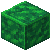 Polished Jade Schist