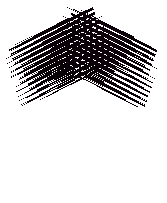 Black Fire