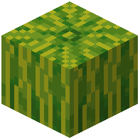 Jutsu Melon