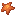 Orange Starfish