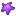 Purple Starfish