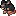 Rat