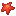 Red Starfish