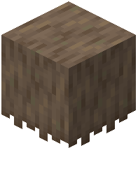 Evergreen Thatch