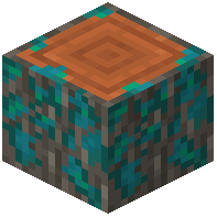Warped-Mossy Acacia Log