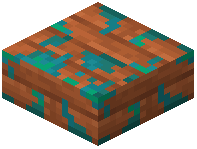 Warped-Mossy Acacia Slab