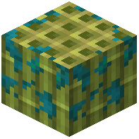 Warped-Mossy Bamboo Block