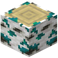 Warped-Mossy Birch Log