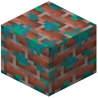 Warped-Mossy Bricks