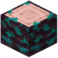 Warped-Mossy Cherry Log