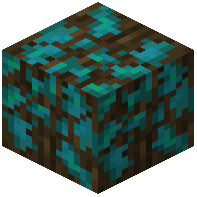 Warped-Mossy Dark Oak Wood