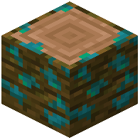 Warped-Mossy Jungle Log