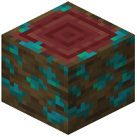 Warped-Mossy Mangrove Log
