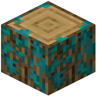 Warped-Mossy Oak Log