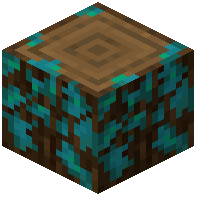 Warped-Mossy Spruce Log