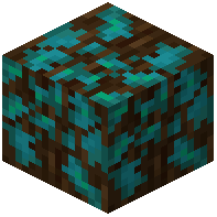 Warped-Mossy Spruce Wood