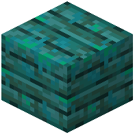 Warped-Mossy Warped Planks