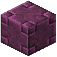 Chiseled Polished Lively Netherrack