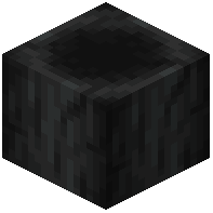 Wither Bone Block